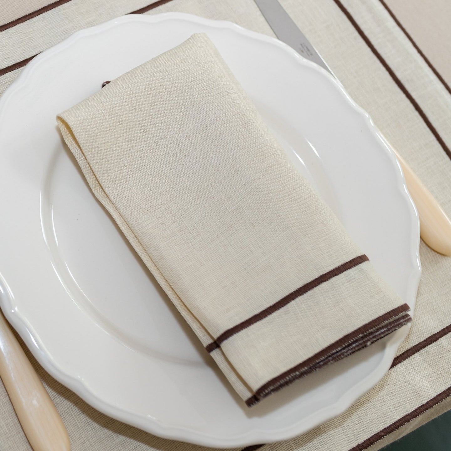 Evergreen Napkin | Beige with Chocolate Brown Border — Set of 2